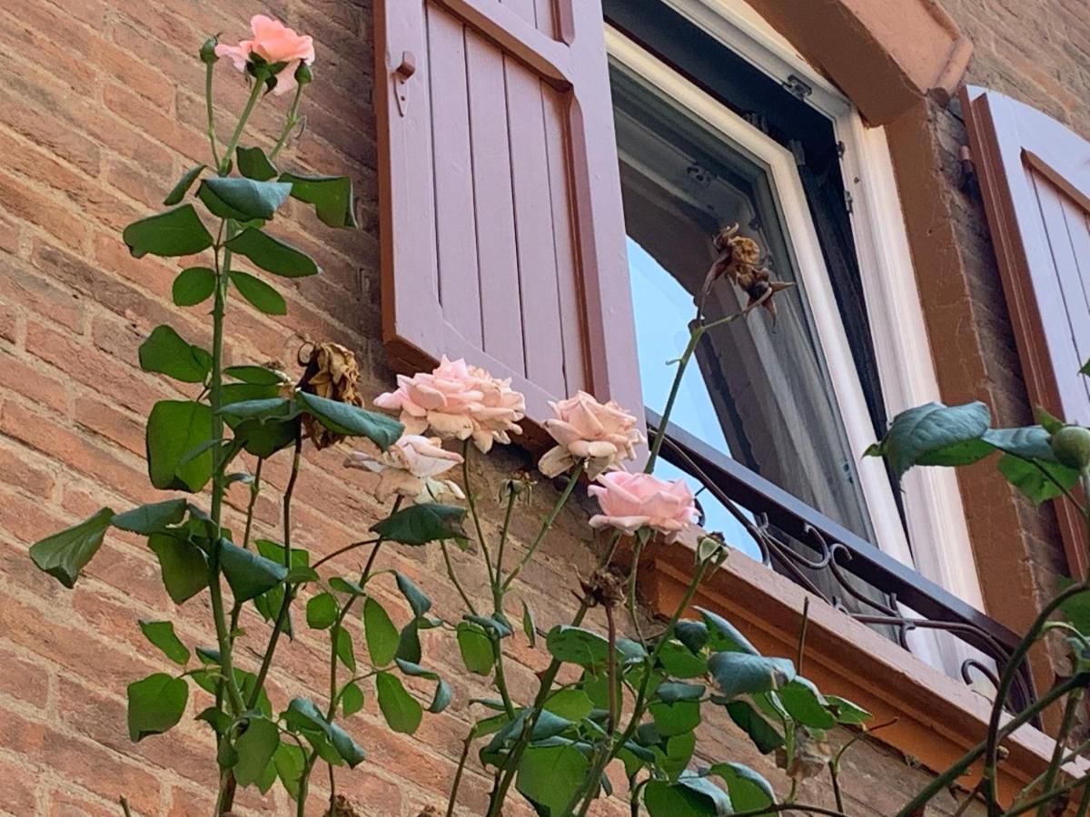 Casina Delle Rose Apartment Bologna Luaran gambar